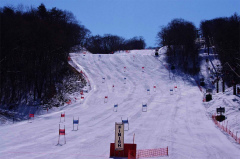 第47回東京都百貨店スキー大会