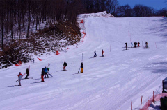 第47回東京都百貨店スキー大会