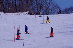 第47回東京都百貨店スキー大会