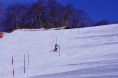 第47回東京都百貨店スキー大会