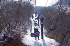 第50回東京都百貨店スキー大会