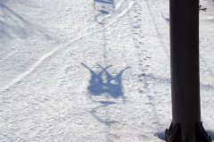 第50回東京都百貨店スキー大会