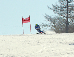 第50回東京都百貨店スキー大会