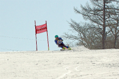 第50回東京都百貨店スキー大会