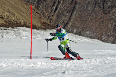 第50回東京都百貨店スキー大会