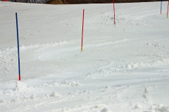 第50回東京都百貨店スキー大会