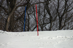 第50回東京都百貨店スキー大会