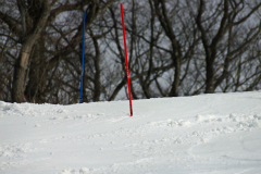 第50回東京都百貨店スキー大会