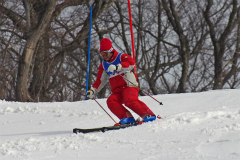 第50回東京都百貨店スキー大会
