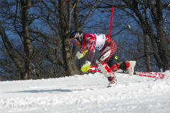 第51回東京都百貨店スキー大会