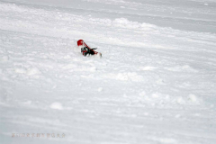 第51回東京都百貨店スキー大会