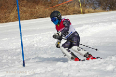 第51回東京都百貨店スキー大会