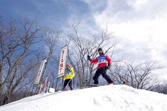 第53回東京都百貨店スキー大会