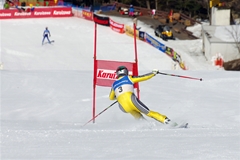 第53回東京都百貨店スキー大会