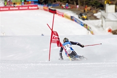 第53回東京都百貨店スキー大会