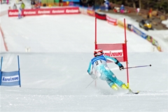 第53回東京都百貨店スキー大会