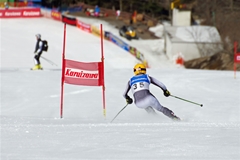 第53回東京都百貨店スキー大会