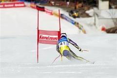 第53回東京都百貨店スキー大会