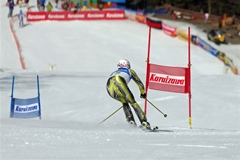 第53回東京都百貨店スキー大会