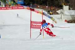 第53回東京都百貨店スキー大会