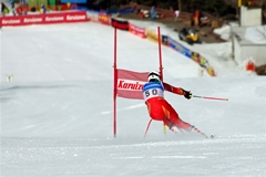 第53回東京都百貨店スキー大会