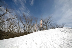 第53回東京都百貨店スキー大会