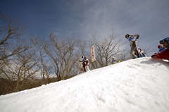 第53回東京都百貨店スキー大会