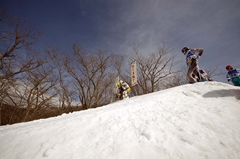 第53回東京都百貨店スキー大会