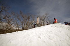 第53回東京都百貨店スキー大会