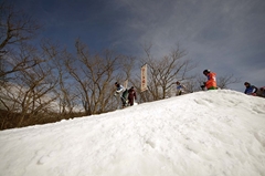 第53回東京都百貨店スキー大会