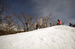 第53回東京都百貨店スキー大会