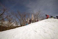 第53回東京都百貨店スキー大会