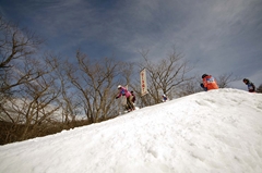 第53回東京都百貨店スキー大会