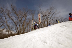 第53回東京都百貨店スキー大会