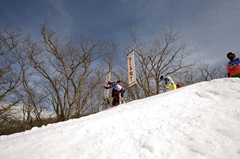 第53回東京都百貨店スキー大会
