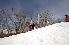 第53回東京都百貨店スキー大会
