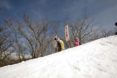 第53回東京都百貨店スキー大会