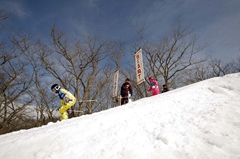 第53回東京都百貨店スキー大会