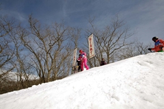 第53回東京都百貨店スキー大会