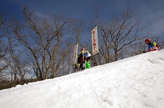 第53回東京都百貨店スキー大会
