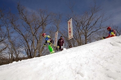 第53回東京都百貨店スキー大会