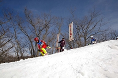 第53回東京都百貨店スキー大会