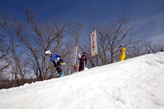 第53回東京都百貨店スキー大会