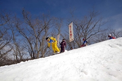 第53回東京都百貨店スキー大会
