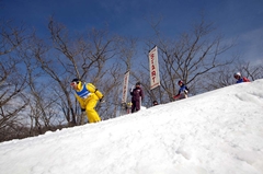 第53回東京都百貨店スキー大会