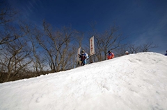 第53回東京都百貨店スキー大会