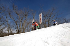 第53回東京都百貨店スキー大会