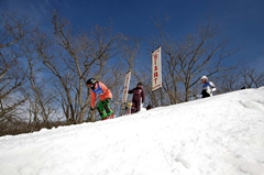 第53回東京都百貨店スキー大会