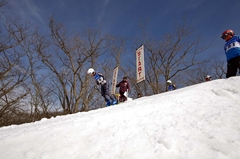 第53回東京都百貨店スキー大会