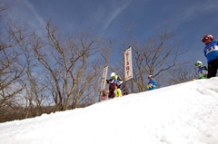第53回東京都百貨店スキー大会